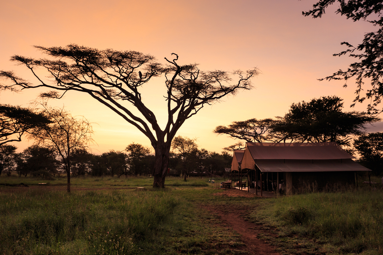 A la découverte de l'Afrique australe en croisière safari : trois pays et un lodge